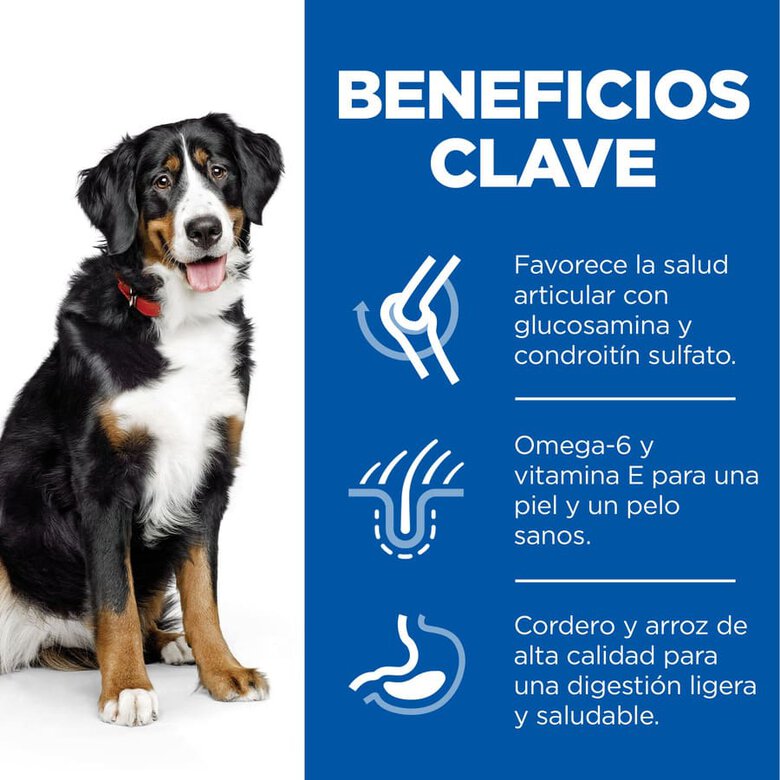Hill's Science Plan Adult Large Cordero pienso para perros, , large image number null
